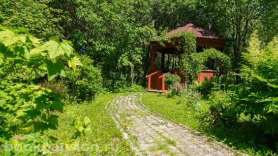 Пансионат «Полет мечты» Всеволожск фото 4