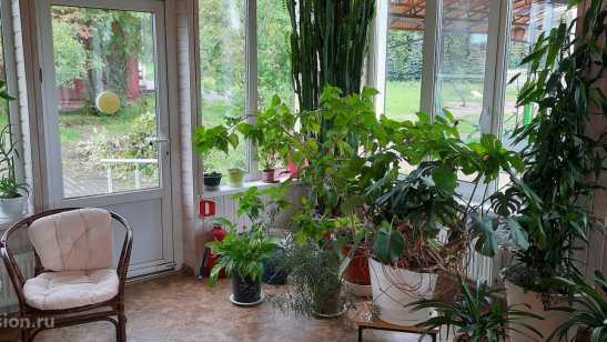 Христианский дом милосердия в Колтушах фото 11