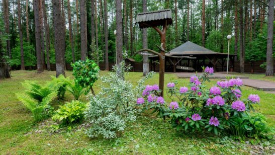 Реабилитационно-восстановительный центр «Лесное» Родной очаг фото