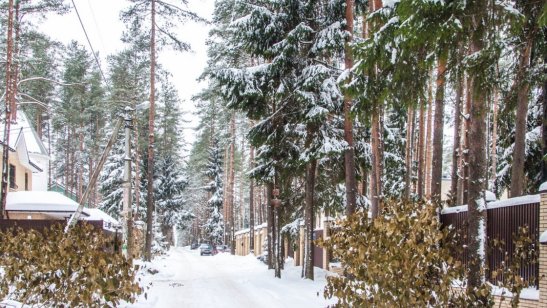 Пансионат «Династия» фото 9