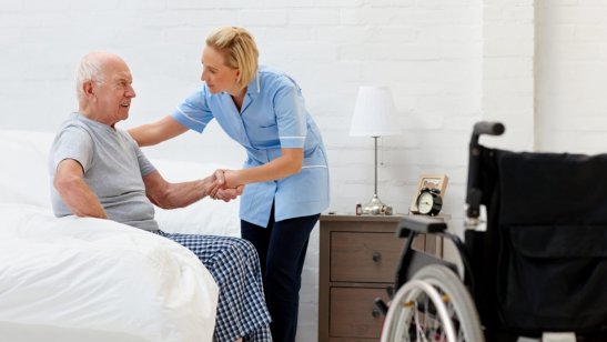 Пансионат «Спас» в поселке Стрельна фото