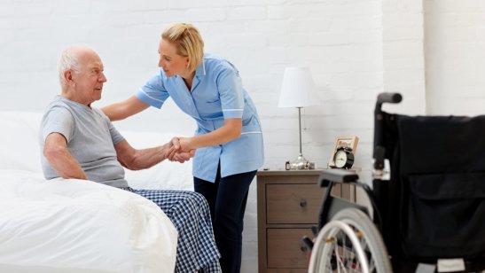 Пансионат «Спас» на Васильевском острове фото