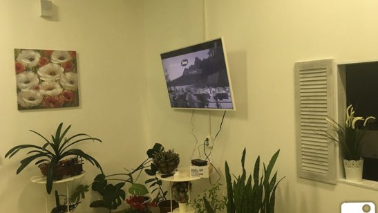 Пансионат Сестрорецк «Гармония» фото 8