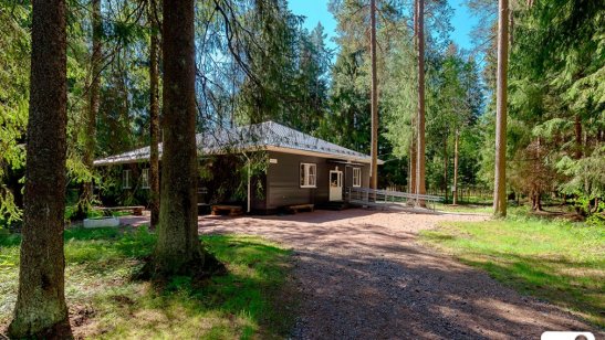 Пансионат Рощино «Гармония» фото 3