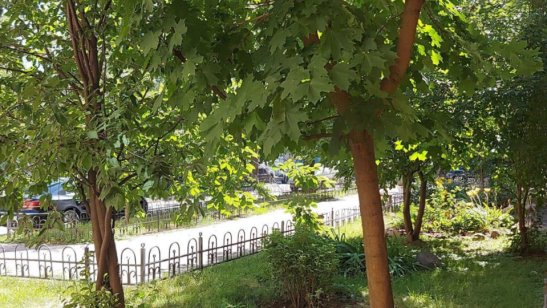 Пансионат «Добрые сердца» Невский проспект фото 4