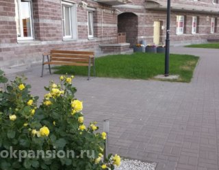 Пансионат «Оранжевый кот»