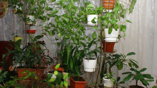 Центр социального обслуживания «Ржевка» фото 8