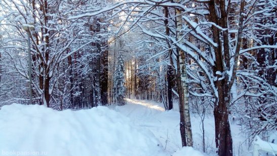 Пансионат с лечением «Ольшаники» фото 8