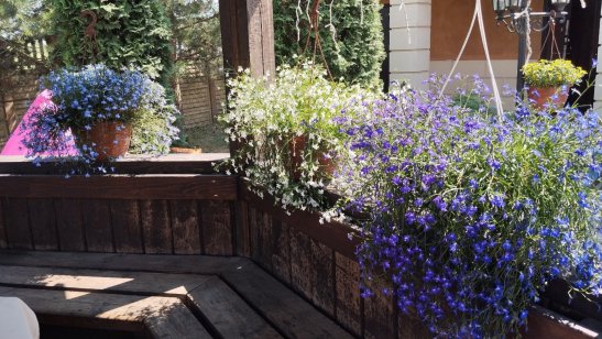 Пансионат «Долголет» фото 4