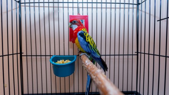 Пансионат «Ваш Оберег» Пролетарский фото 43