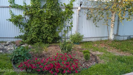 Пансионат «Мудрость и Милосердие» фото