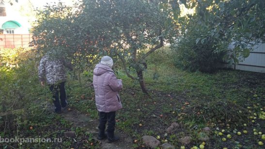 Пансионат «Мудрость и Милосердие» фото 5