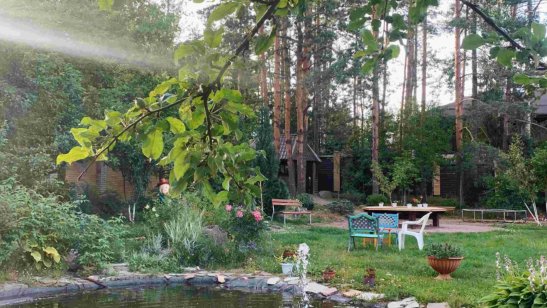 Пансионат «Феникс» пос. Западная Лица фото