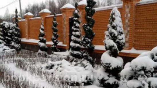 Пансионат «Калининский» фото 4