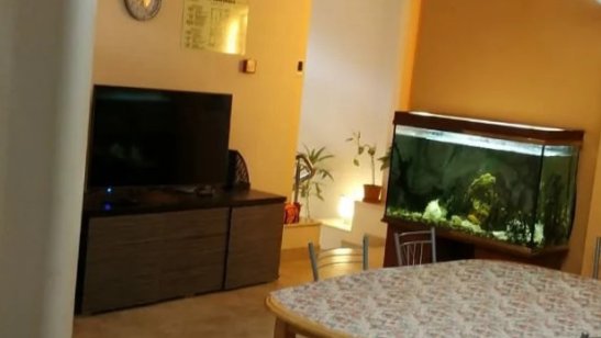 Пансионат «Домашний очаг» 1-Я Утиная улица фото 6