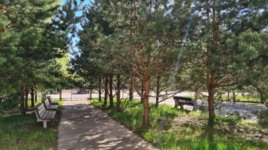 Котлин фото 4