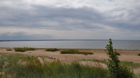 Котлин фото 9