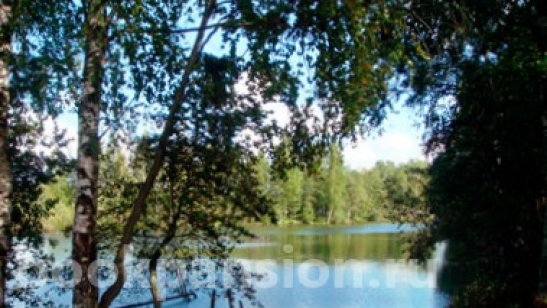 «Лотос» - «Солнечный» фото 6