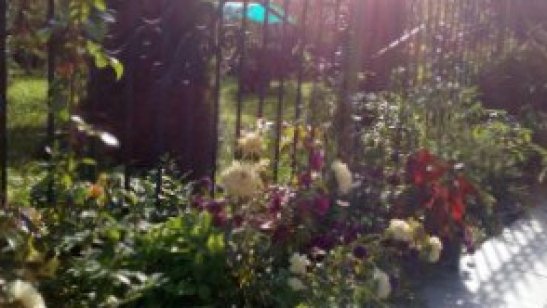 Пансионат «Наш Дом» в Александровке фото 8