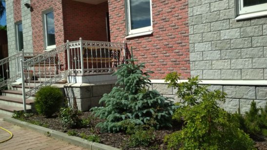 Пансионат «Бережные руки» Озерки фото 14