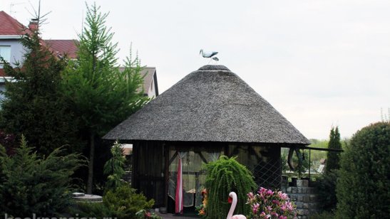 Пансионат «Дача» Мурино фото 3