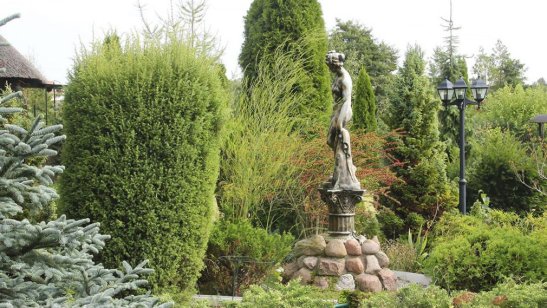 Пансионат «Дача» Мурино фото 11