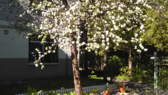 Пансионат «Почтенный Пансион» фото 3