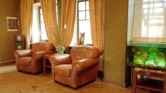 Частный дом престарелых «Наш Дом» Лисий Нос фото 5