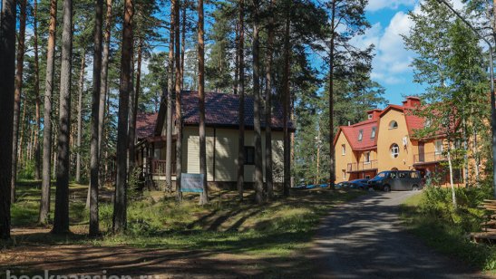 Частный дом престарелых  «Эпоха Сосново» фото 3