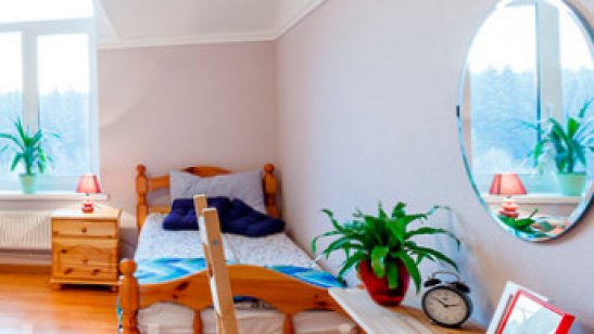 Добро в Санкт-Петербурге